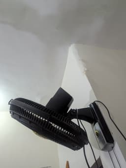 Bianco Wall Fan  3