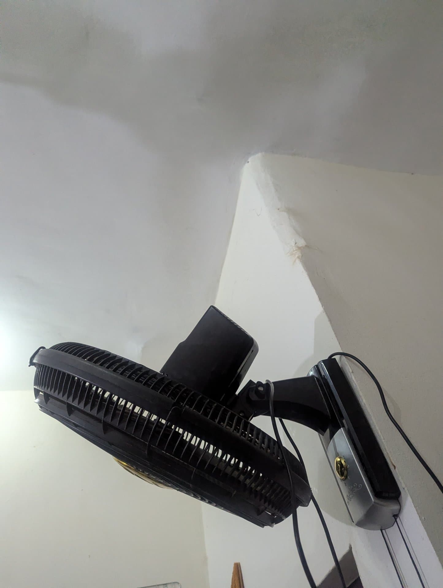 Bianco Wall Fan 