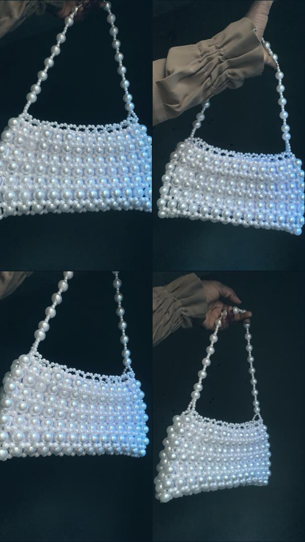 Twinkle bag/clutch purse